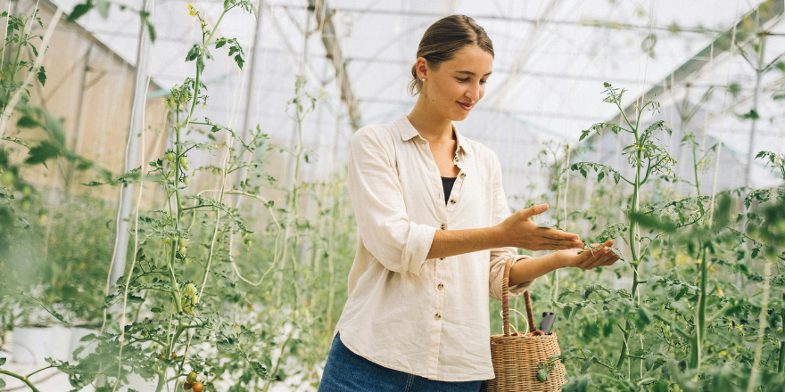 yrittäjäksi opiskelijana