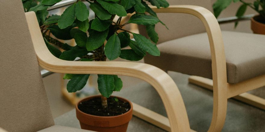 Rekrytointijärjestelmä yritysoston yhteydessä