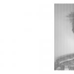 Taneli Pasanen töihin somen avulla