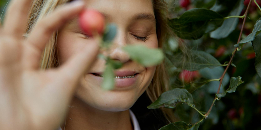 kesätyönhakijoiden rekrytointi