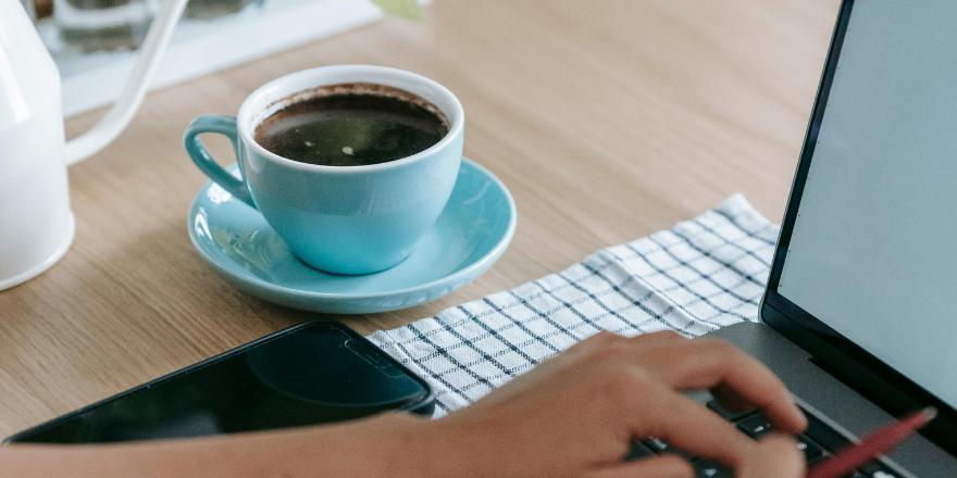 työharjoittelupaikat