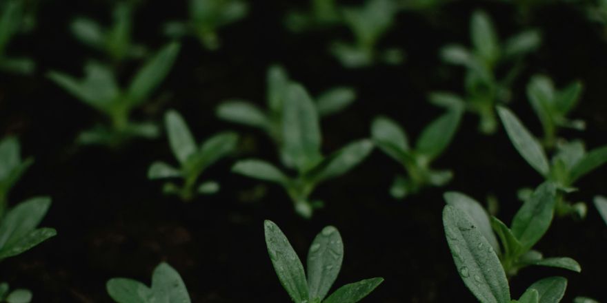 rekrytointijärjestelmän rajapinta