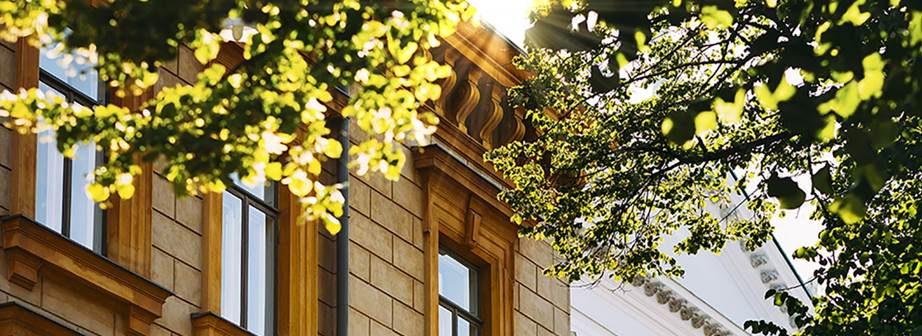 A tree next to a building

AI-generated content may be incorrect.