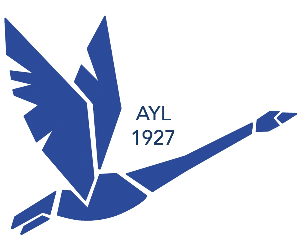 Ada Äijälän koulu oy